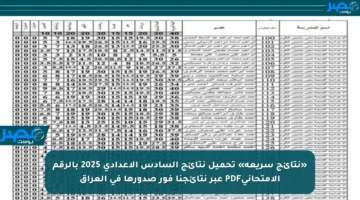 «نتائج سريعة» تحميل نتائج السادس الإعدادي 2025 بالرقم الامتحانيPDF عبر نتائجنا فور صدورها في العراق